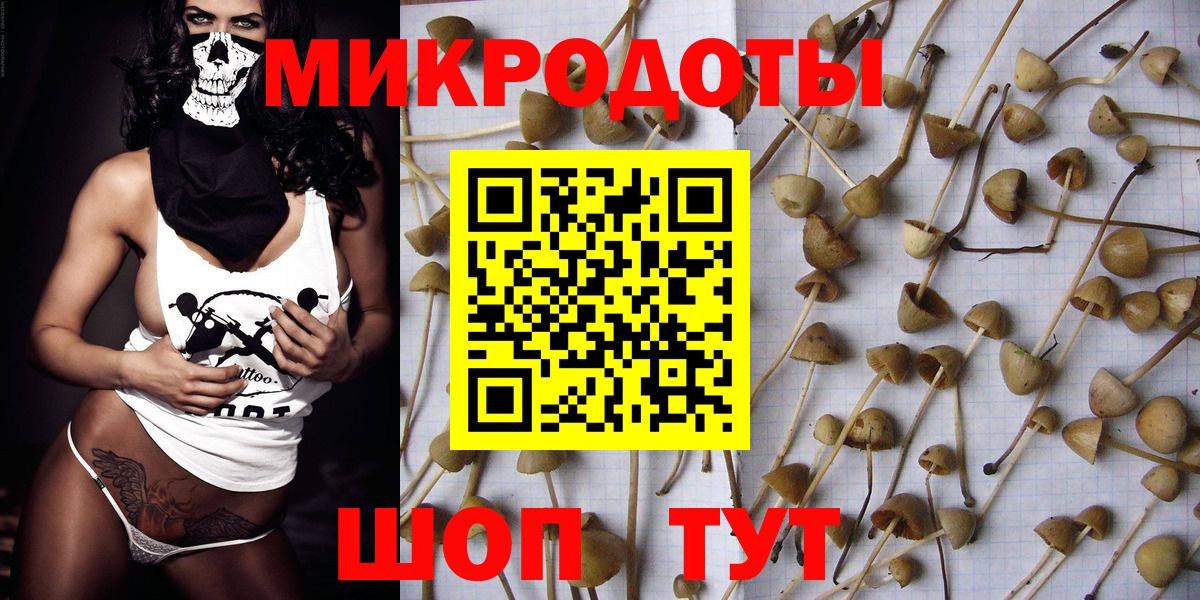 Екатеринбург  Псилоцибиновые грибы MAGIC MUSHROOMS  Вход с VPN  купить наркотики сайты  Псилоцибиновые грибы Psilocybe 