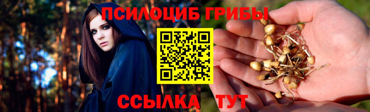Галлюциногенные грибы Psilocybe Екатеринбург